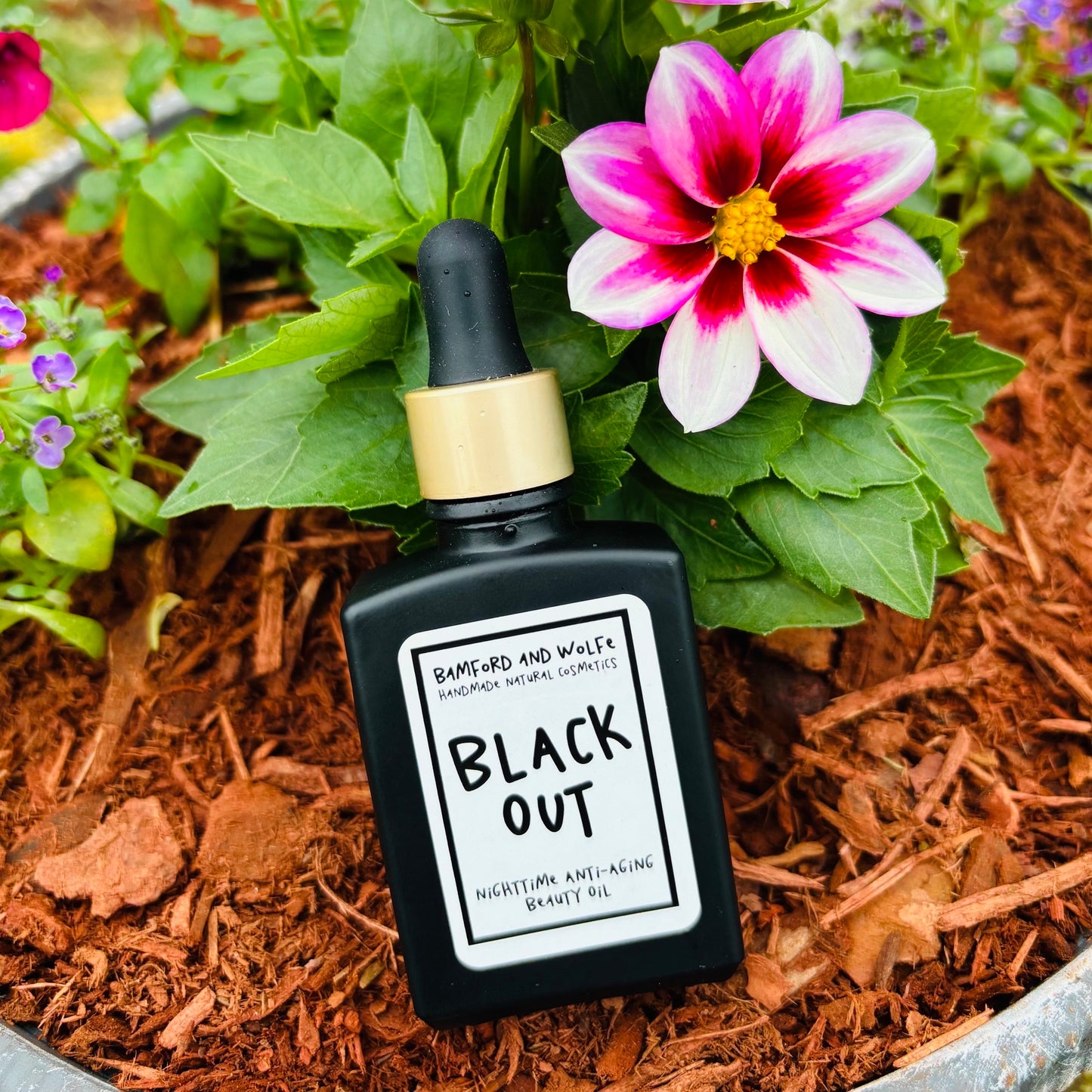 Black Out